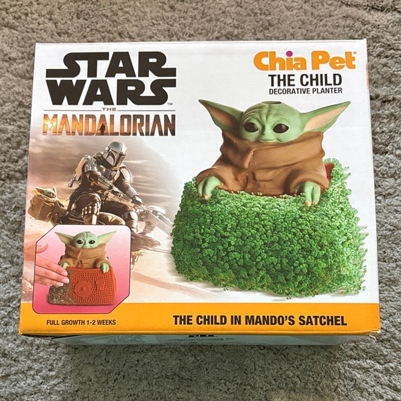 Chia Pet Other - Chia Pet The Child Decorative Planter - Green and Brown